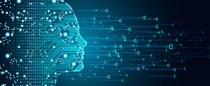 Thematic Issue on Data, Power, and Racial&nbsp;Formation