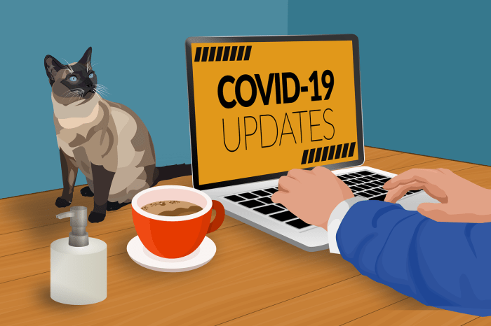 Article on Sensemaking during a Public Health&nbsp;Crisis